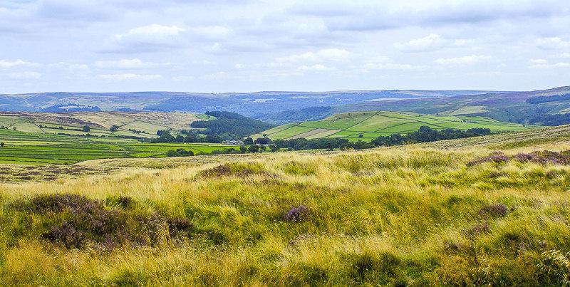 Abney Low